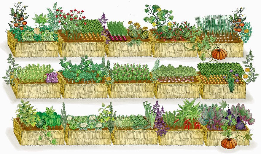 AN ARTIST'S DEPICTION from Karsten's web site showing the potential of a 15-bale garden.