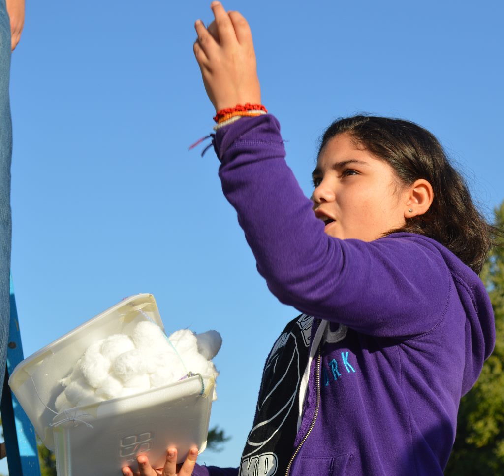 mles 5th grade egg drop 6