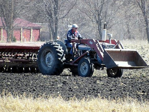 bee oats seeding again