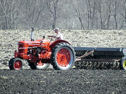 bee oats seeding