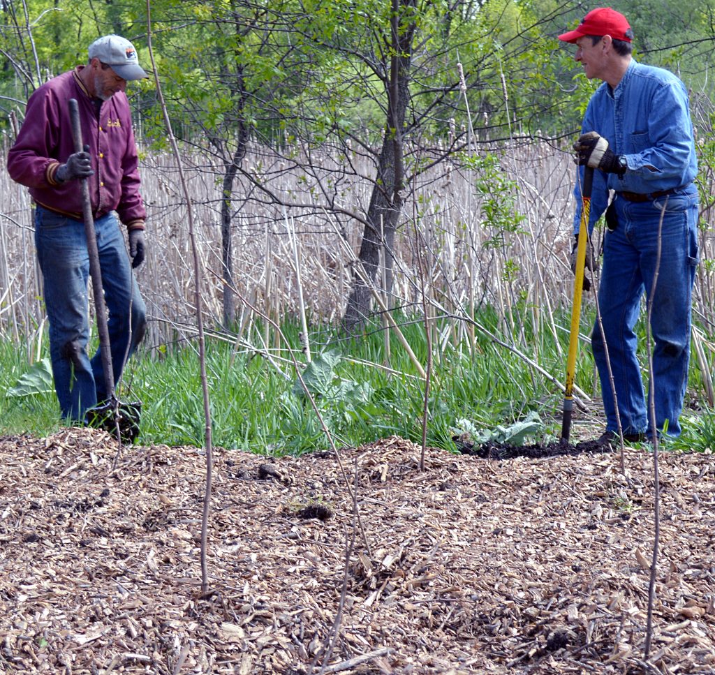 food forest 5