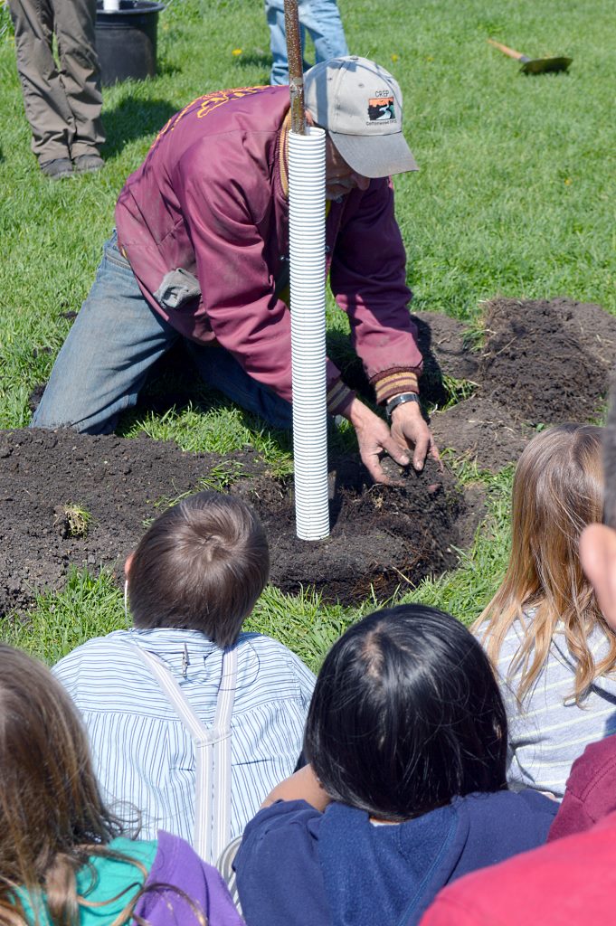 mles tree planting 1