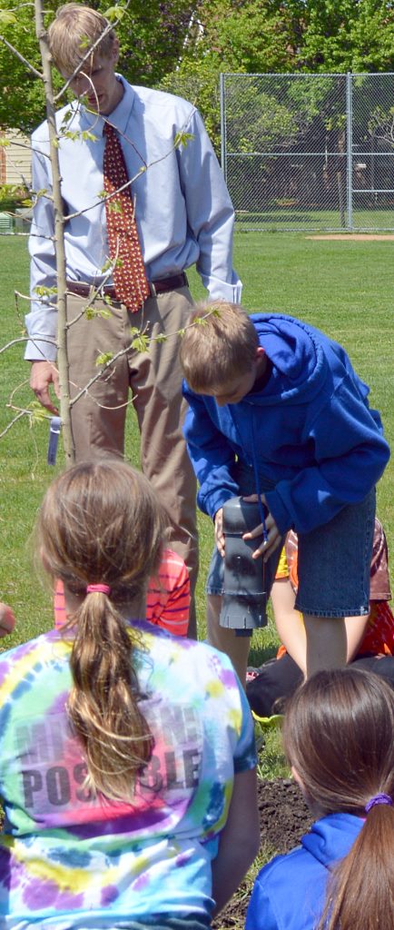 mles tree planting 3