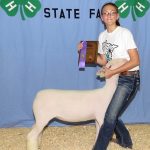 2017 state fair alyssa reisdofer champion white face market lamb use