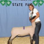 2017 state fair megan wiebe use